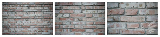 精細(xì)調(diào)焦與馥郁色彩 美科25mm f1.8鏡頭評(píng)測(cè)