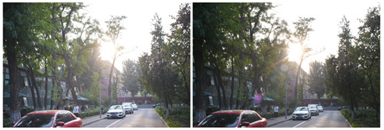 精細(xì)調(diào)焦與馥郁色彩 美科25mm f1.8鏡頭評(píng)測(cè)