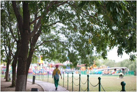 精細(xì)調(diào)焦與馥郁色彩 美科25mm f1.8鏡頭評(píng)測(cè)