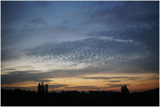 精細(xì)調(diào)焦與馥郁色彩 美科25mm f1.8鏡頭評(píng)測(cè)